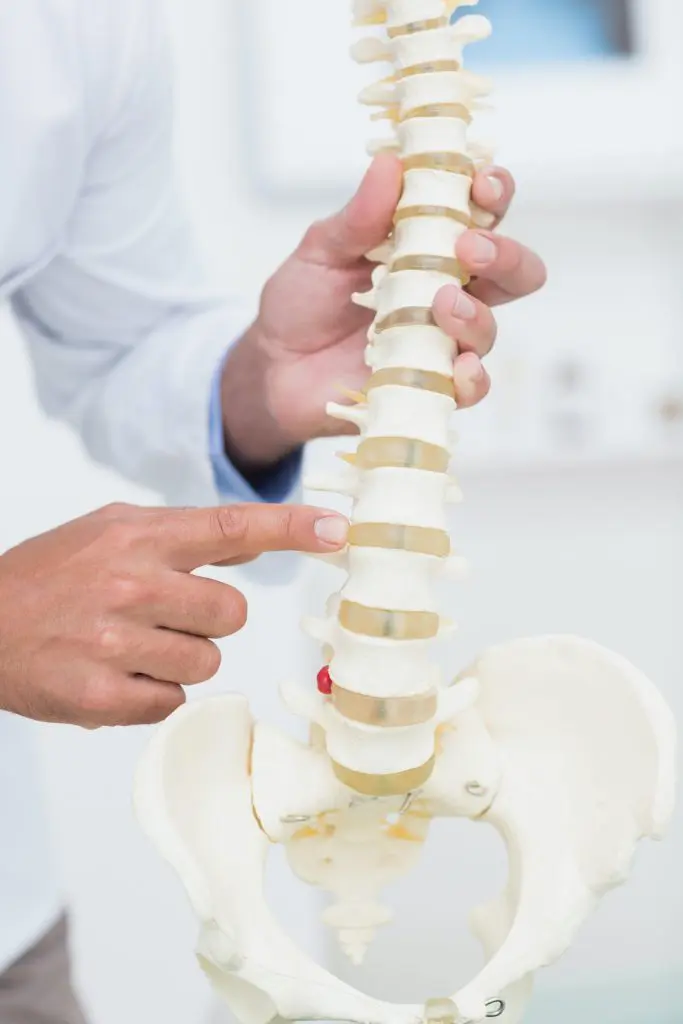 chiropractor holding a model of the human spine explaining back pain treatment to patient | back pain treatment in Fort Wayne