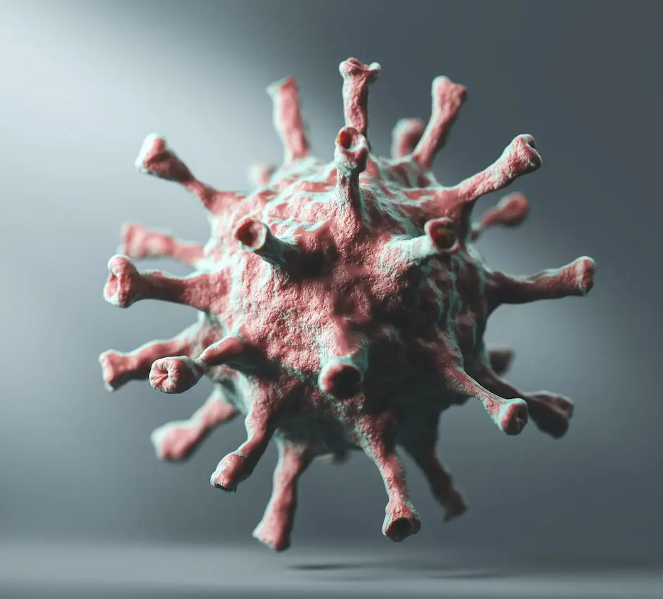 photo of the Coronavirus COVID-19.