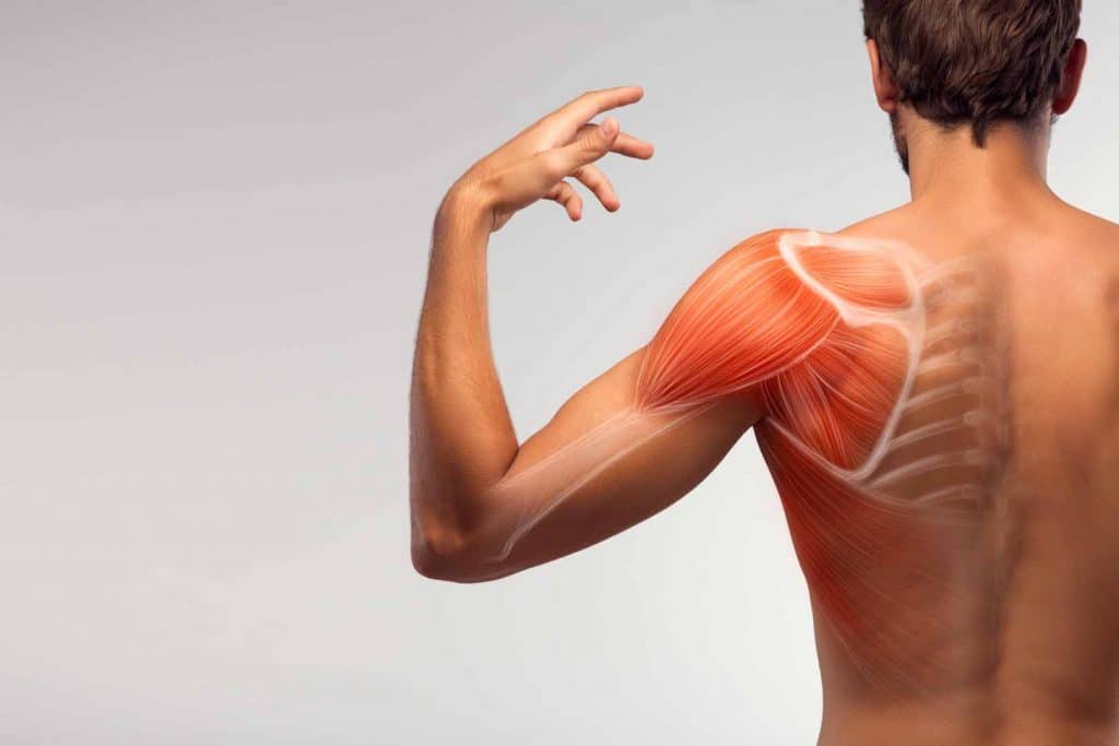 Back view of a man with frozen shoulder. Shoulder pain treatment in fort wayne available at North East Chiropractic Center