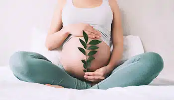 Expecting mother holding healthy plant leaves to rrepresent a healthy pregnancy.